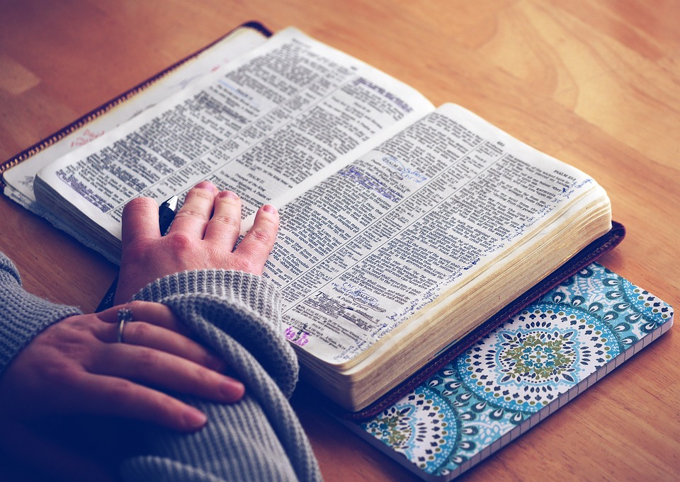 Libro de la Sabiduría en la Biblia