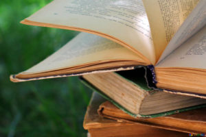 etimologia